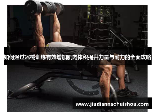如何通过器械训练有效增加肌肉体积提升力量与耐力的全面攻略